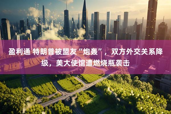 盈利通 特朗普被盟友“炮轰”，双方外交关系降级，美大使馆遭燃烧瓶袭击