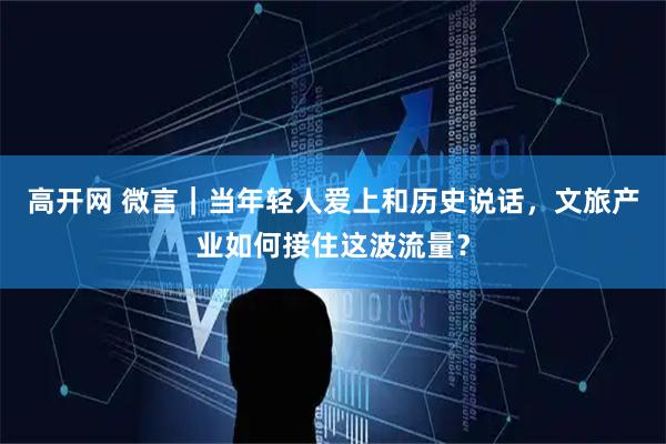 高开网 微言｜当年轻人爱上和历史说话，文旅产业如何接住这波流量？